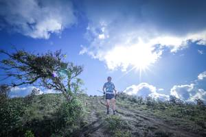 BIB: 
                            <button type="button" onclick="openModal(15955504)" class="btn btn-primary btn-sm float-right btn-popup" data-toggle="modal" data-target=".modal-high-quality">
                        <i class="fas fa-shopping-cart"></i> Add to Cart
                    </button>
                                            <button type="button" onclick="isThisMe(15955504, true)" class="btn btn-success btn-sm float-right btn-popup btn-isme hidden" data-toggle="tooltip" data-placement="bottom" title="นี่คือรูปของคุณใช่ไหม คลิกที่นี่เพื่อเอาเข้าอัลบั้ม">
                        <i class="fas fa-plus"></i> Add to album
                    </button>
                    <button type="button" onclick="isThisMe(15955504, false)" class="btn btn-warning btn-sm float-right btn-popup btn-isnotme hidden">
                        <i class="fas fa-ban"></i> Remove from album
                    </button>